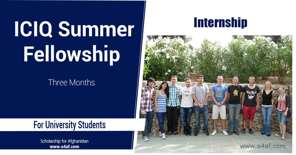 ICIQ Summer Fellowships for Undergraduate Students