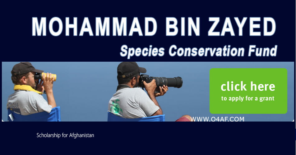 The Mohammad bin Zayed Species Conservation Fund